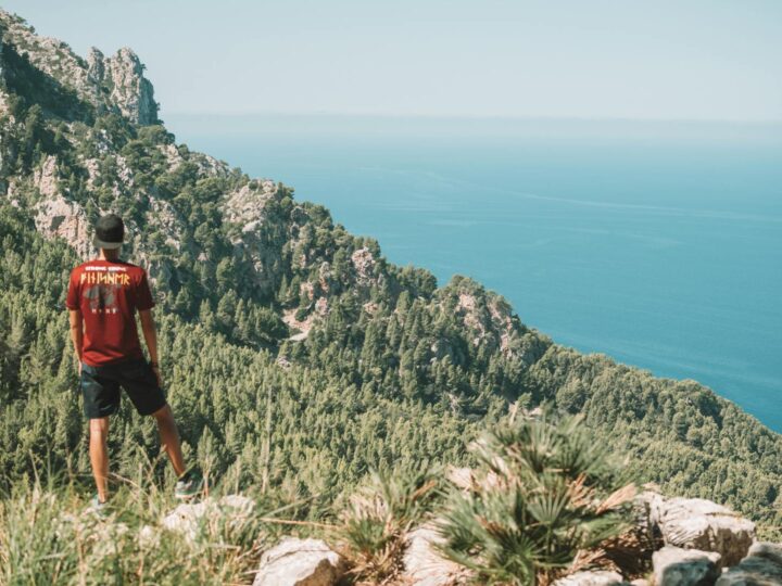 Parc Natural de sAlbufera de Mallorca